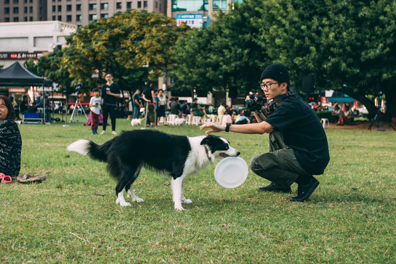 Sahibiyle göz teması kuran köpek
