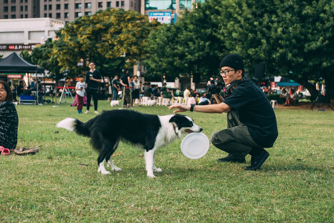 Pawsitive Resolutions: A Guide to Setting Achievable New Years Goals for Your Dog