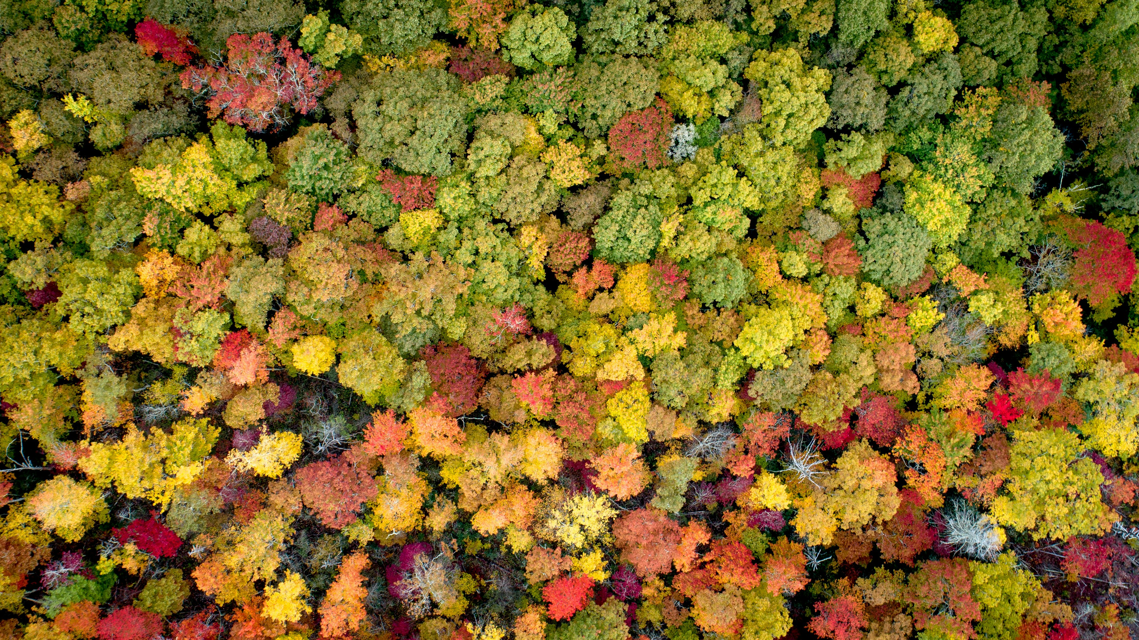 Photo by nathananderson