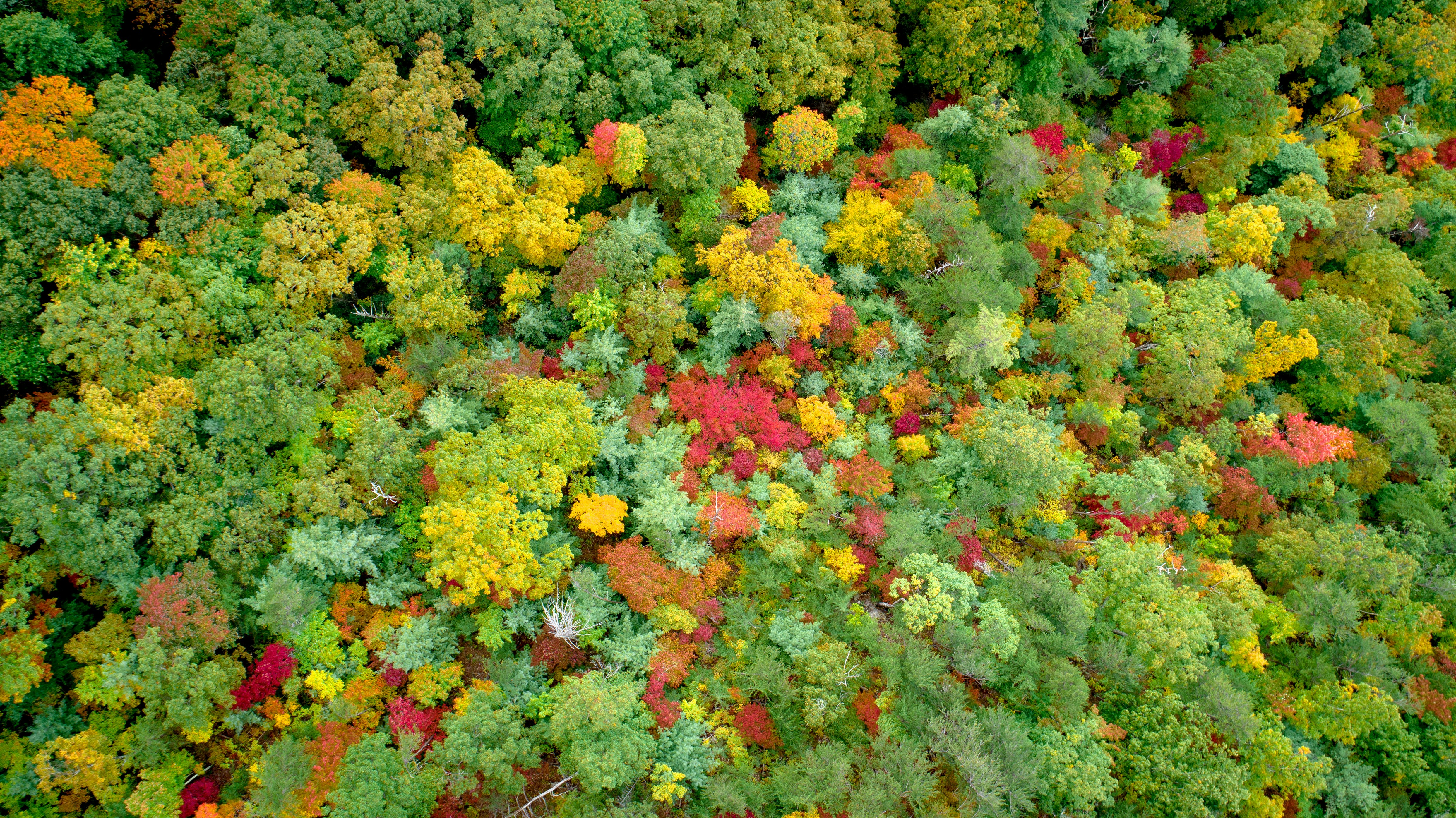 Photo by nathananderson