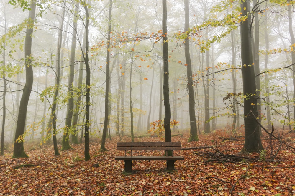 brown wooden bench