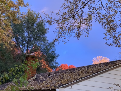 A wide shot of a charming home with a freshly cleaned chimney surrounded by autumn foliage.