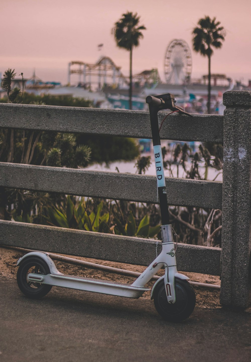 white Bird kick scooter parked on concrete wall overlooking park