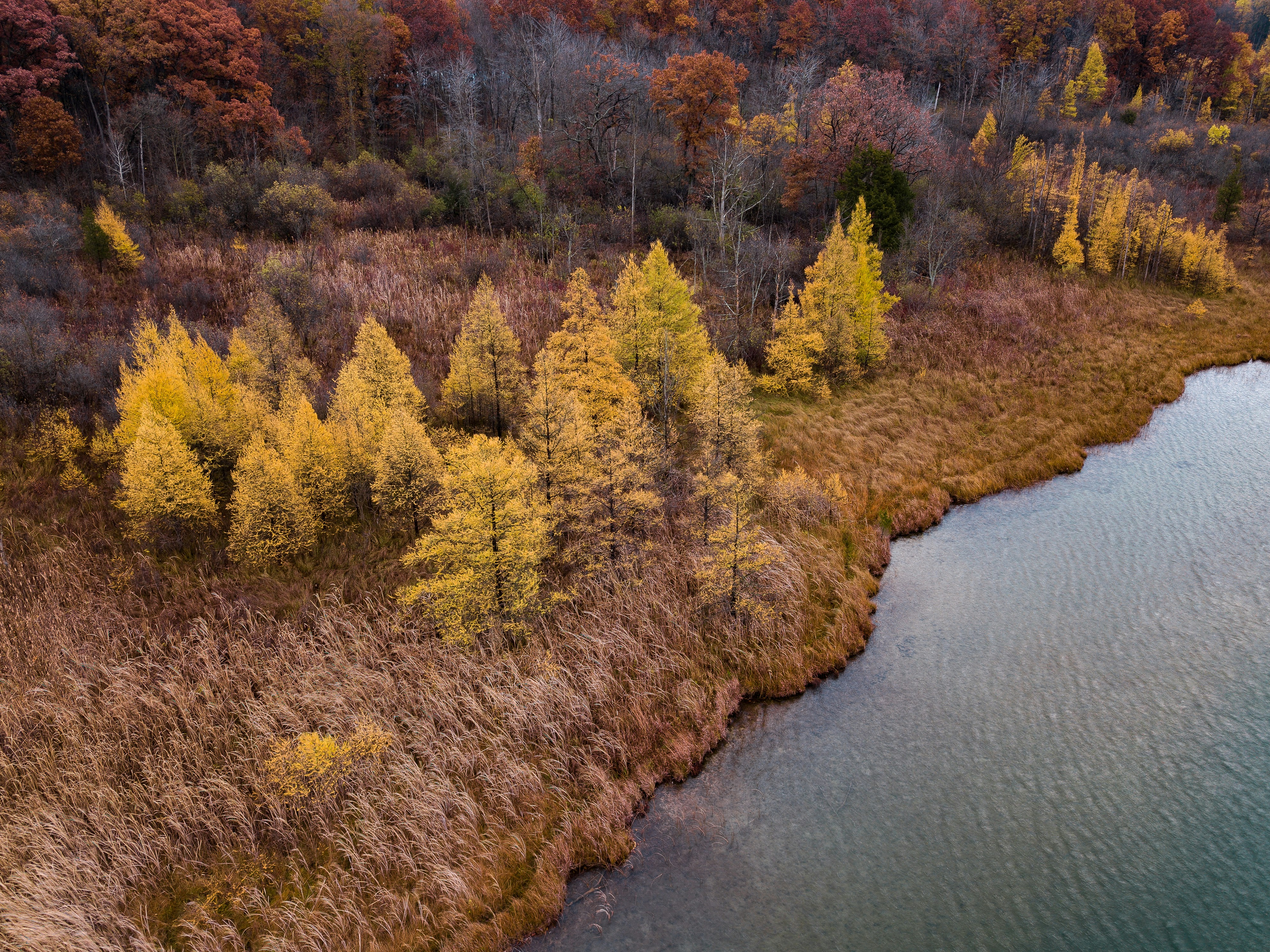 🥕 Eating To Protect From Seasonal Sickness