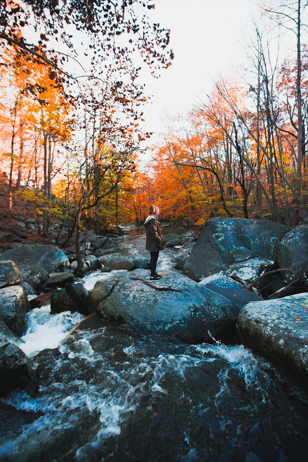 person standing on top of rock in between waterfall during daytime