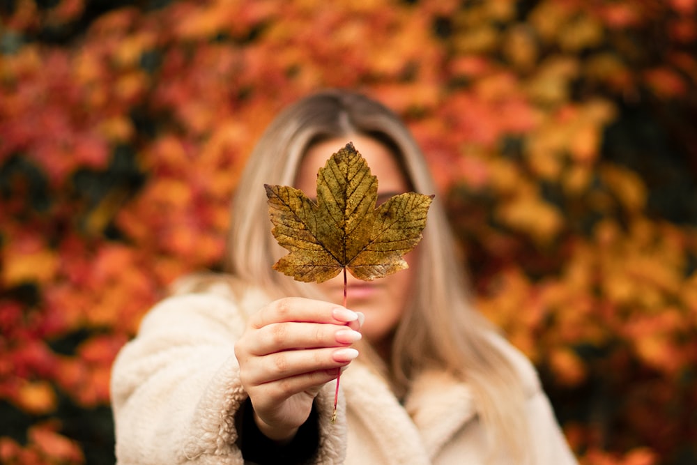 focus photography of woman holding maple leaf