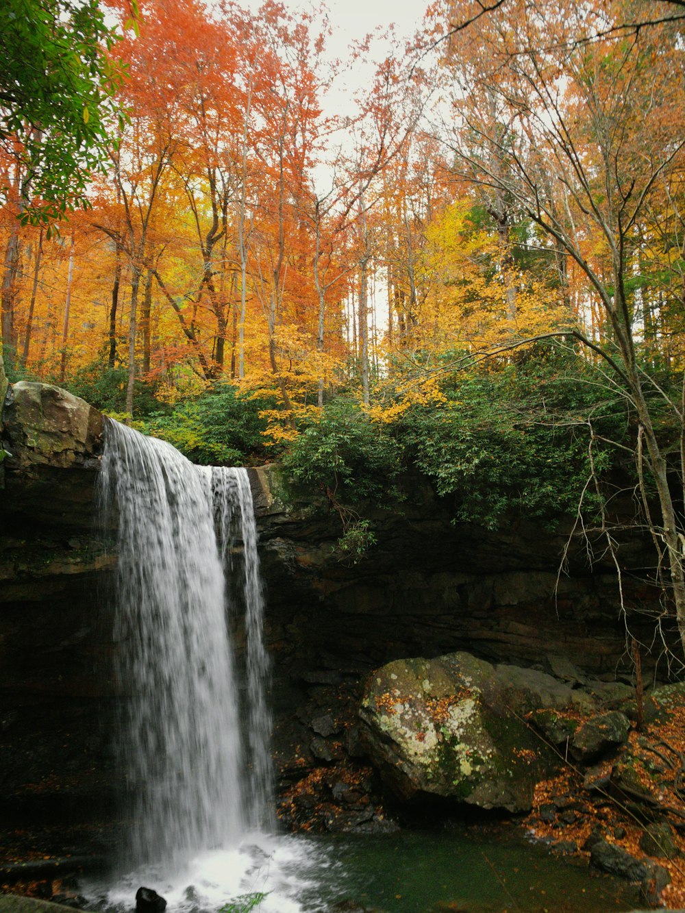 Cascadas en el bosque