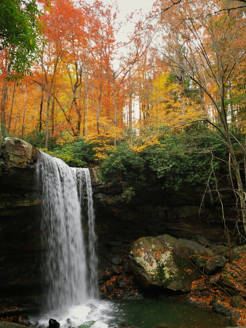 Pennsylvania landscape