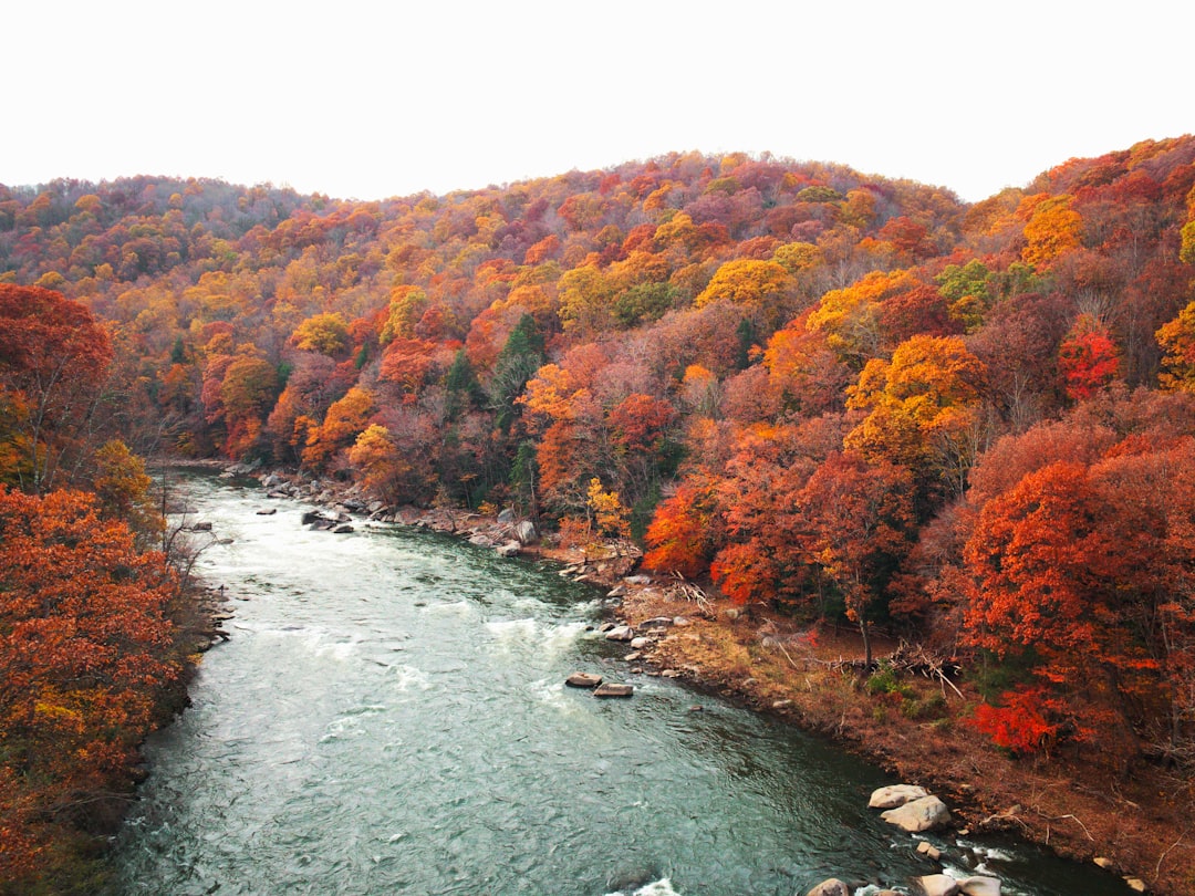 travelers stories about River in Great Allegheny Passage, United States