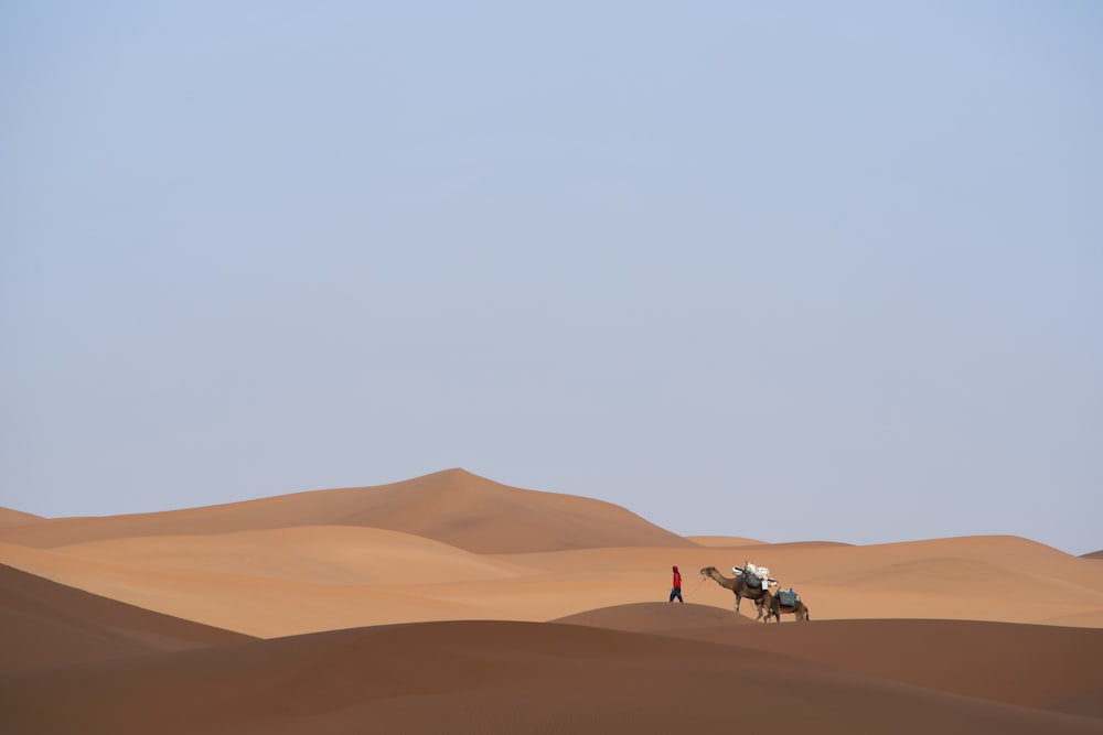 man with camel in the desert