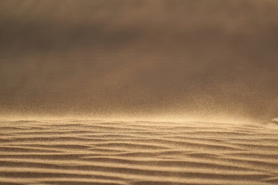 shallow focus photography of brown sand