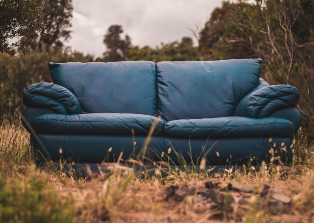 blue leather loveseat surrounded by grass