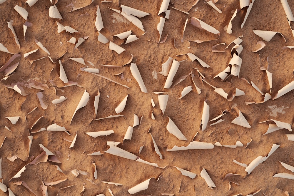 a close up of a pile of wood shavings