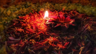 A serene image of Sonia Sarma seated with a warm smile, surrounded by softly glowing diyas and lotus flowers.