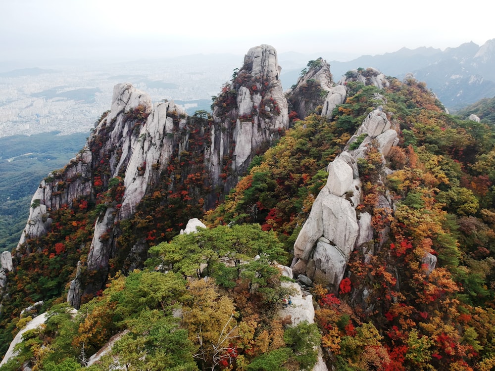 rock mountain terrain with tress