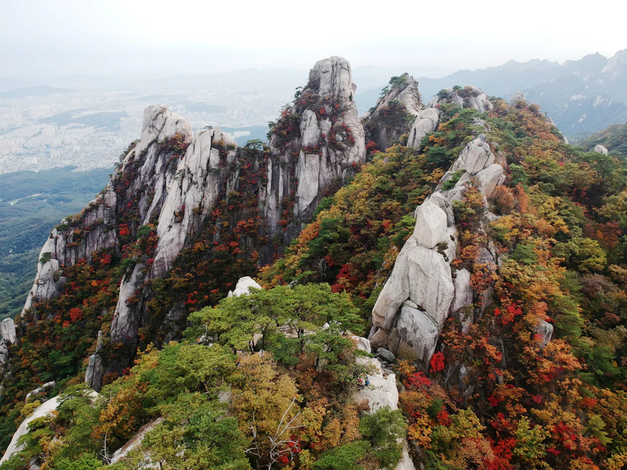 Granitgipfel über herbstlich gefärbtem Wald im Seoraksan