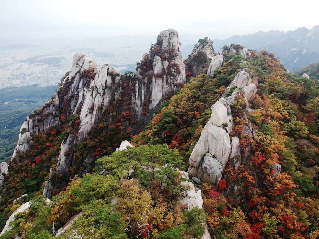 Hill station photo spot Dobong 1(il)-dong Gapyeong-gun