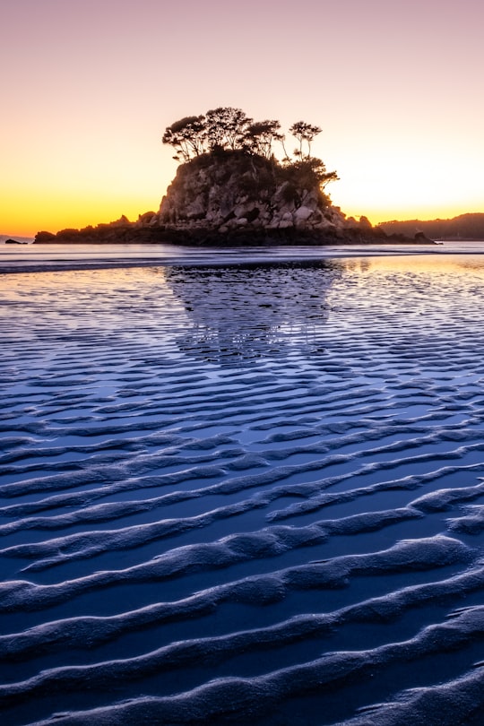 trees on top of hill in islet in Abel Tasman National Park New Zealand