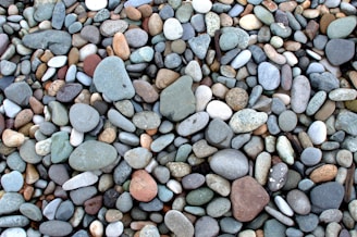 An assortment of smooth, round pebbles of various sizes and colors is spread across the ground. The stones range in hue from gray and blue to tan and reddish-brown, creating a natural mosaic. The surface of each pebble is polished, likely by water, giving them a glistening, wet appearance.