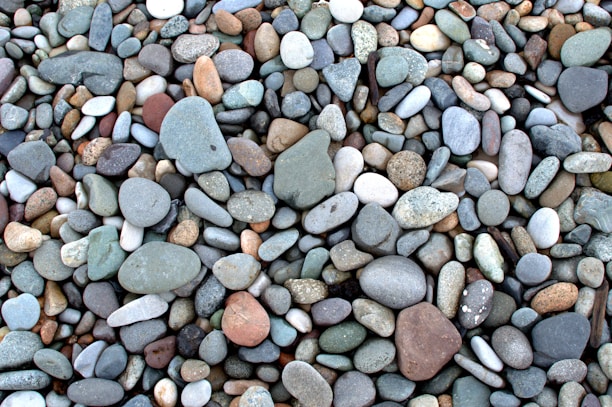 An assortment of smooth, round pebbles of various sizes and colors is spread across the ground. The stones range in hue from gray and blue to tan and reddish-brown, creating a natural mosaic. The surface of each pebble is polished, likely by water, giving them a glistening, wet appearance.