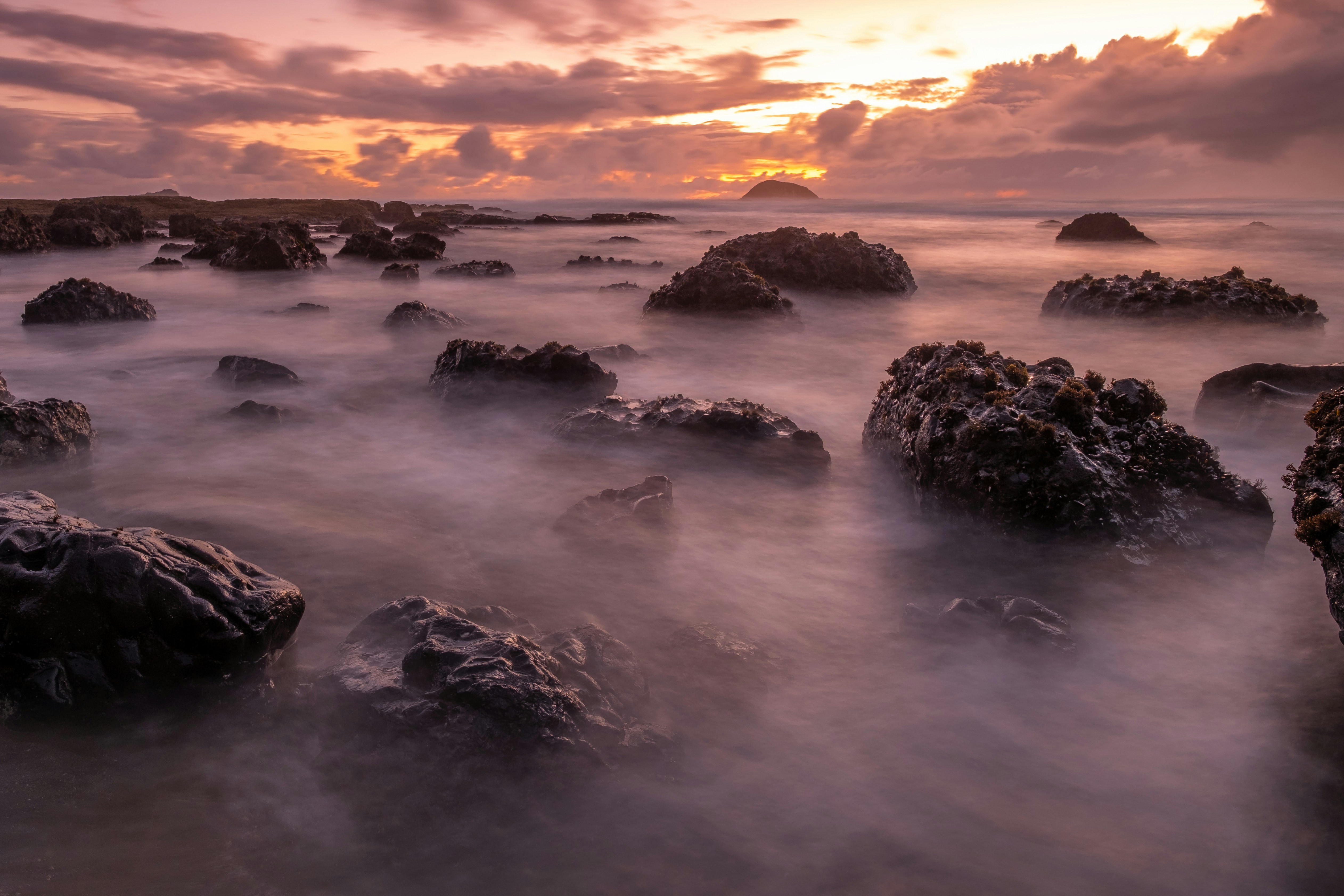 Photo by alreadygreen