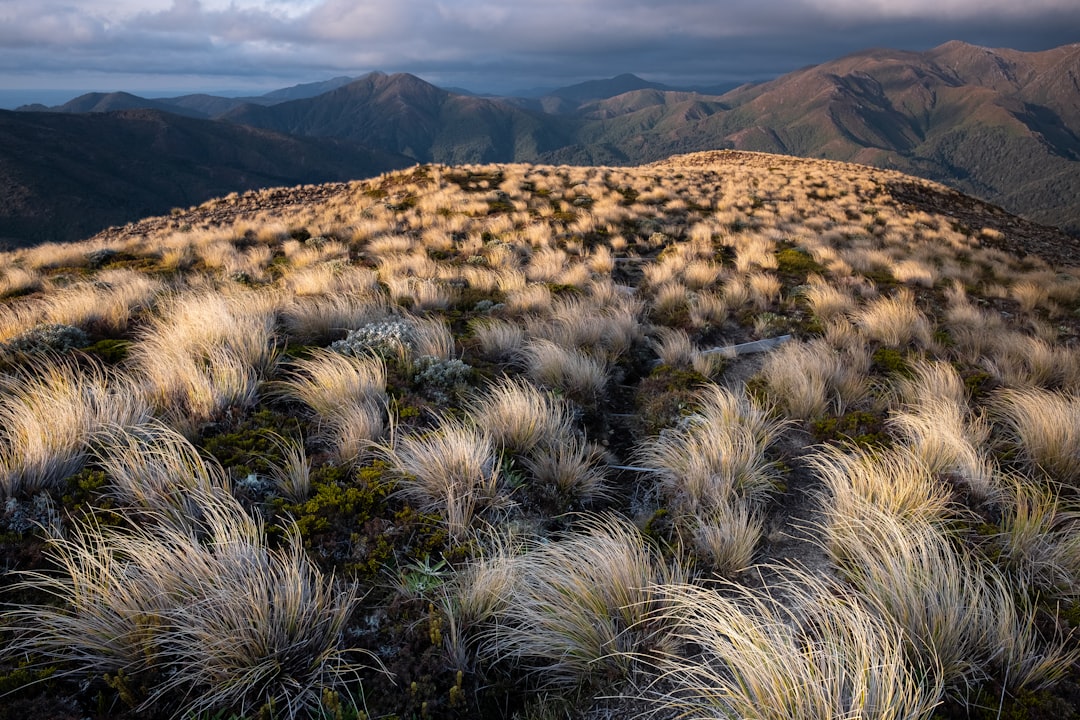 Hill photo spot Mt Urchin Track Taupo