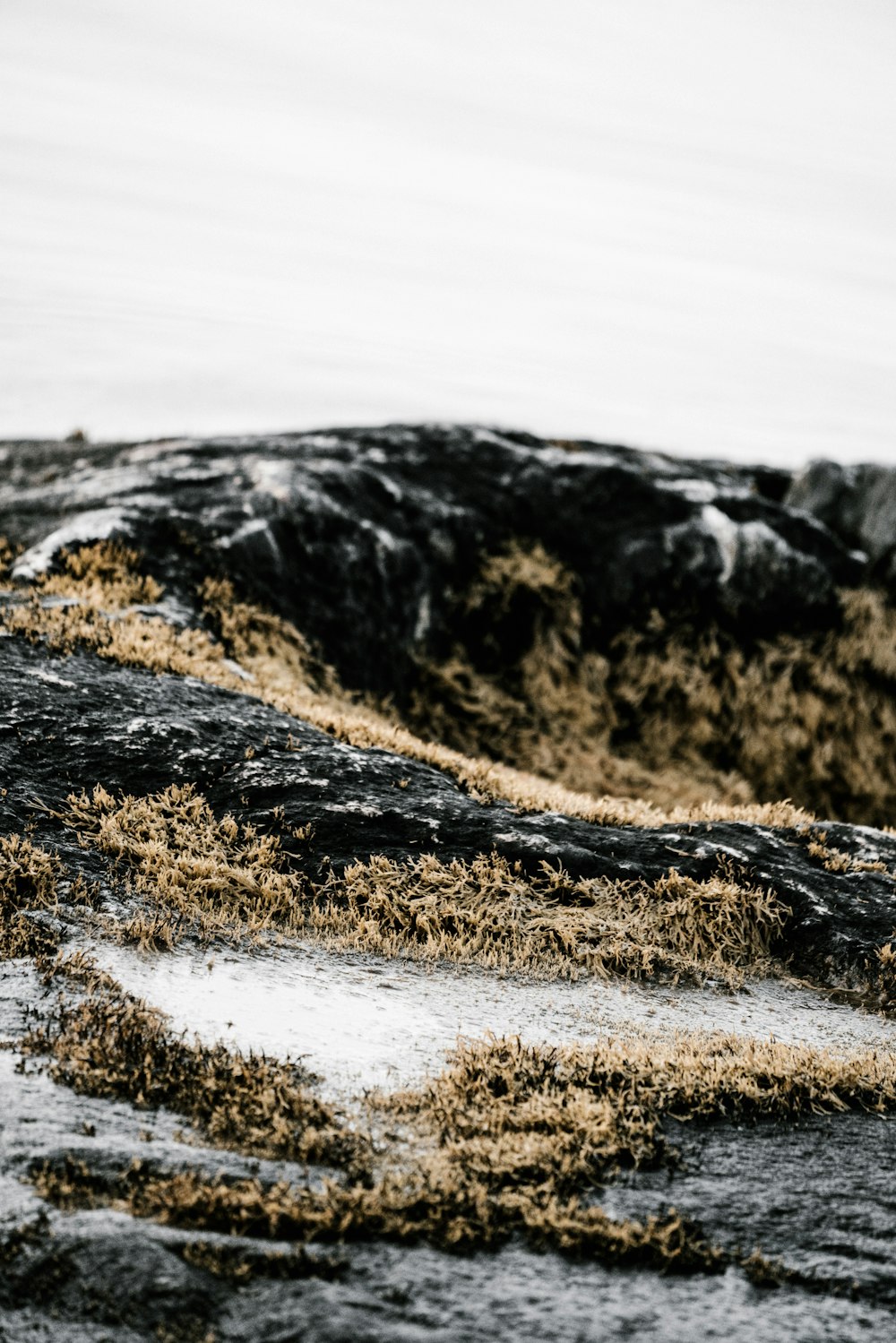 photographie de paysage de montagne