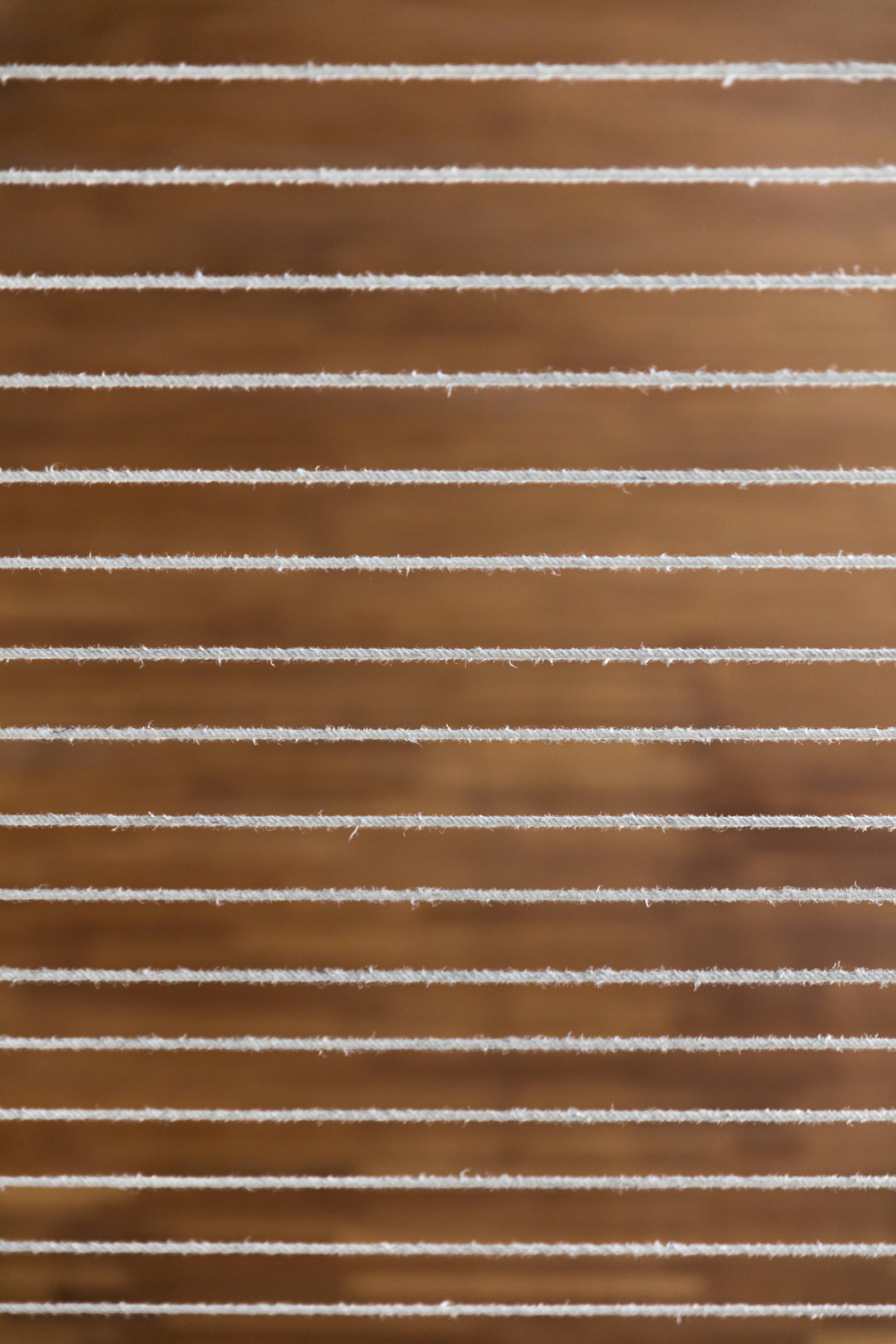 Photo by worldsbetweenlines