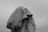 A person with their head covered by a large, draped cloth, creating a mysterious and somewhat anonymous appearance. The image is in black and white, with minimal background details visible.
