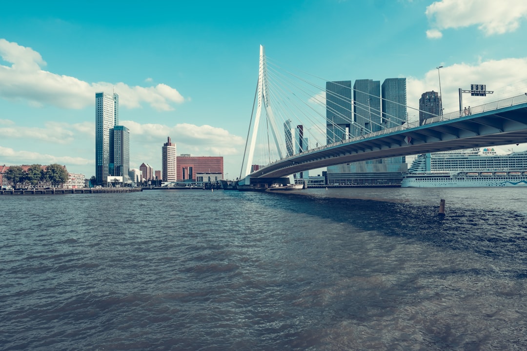 gray concrete bridge near buildings, On my way to the photography museum in Rotterdam I took this fantastic picture of t