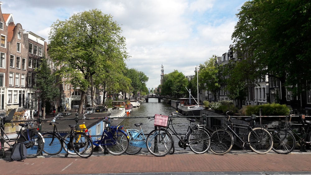 bicycles parked near body of water