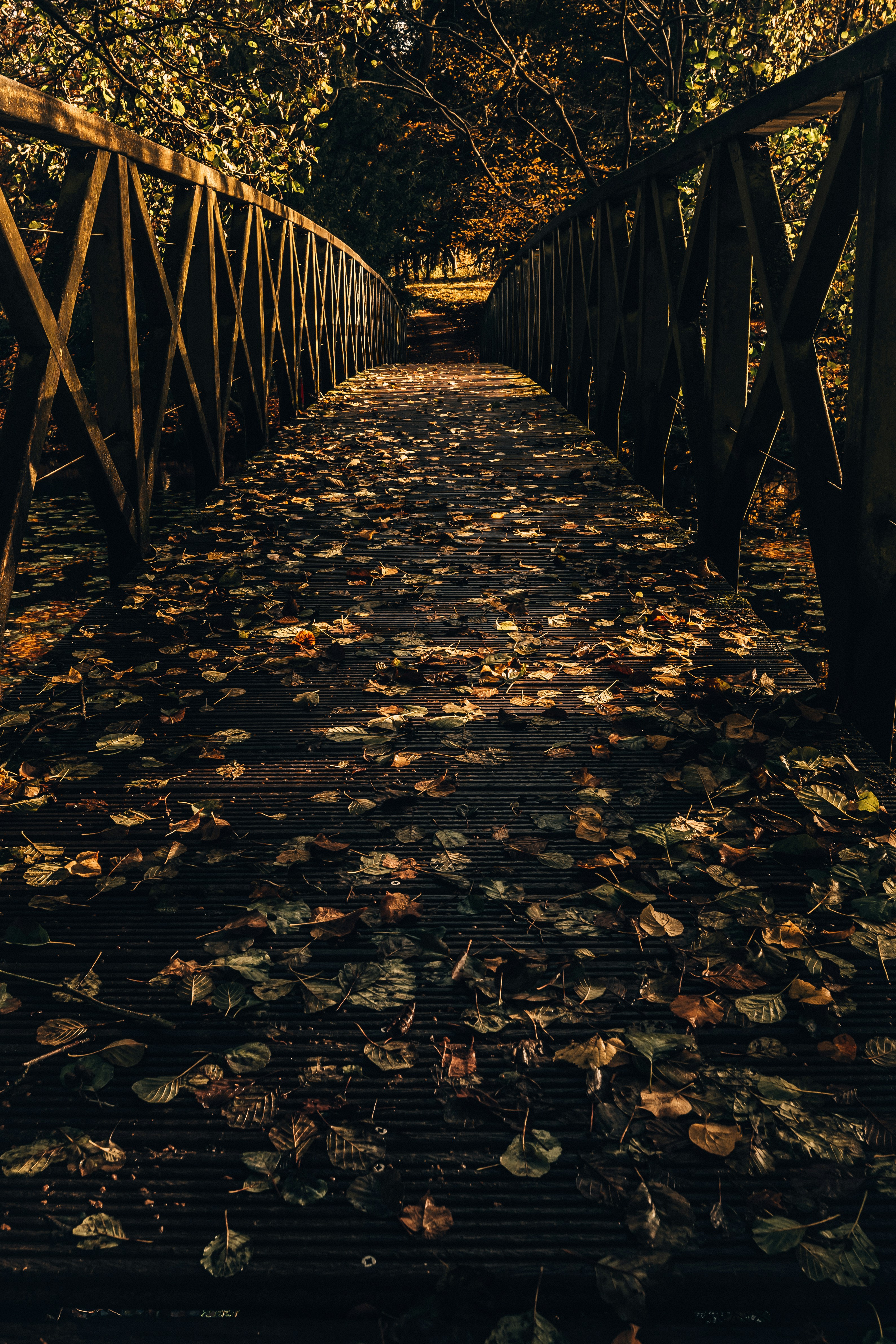 Photo by jeztimms