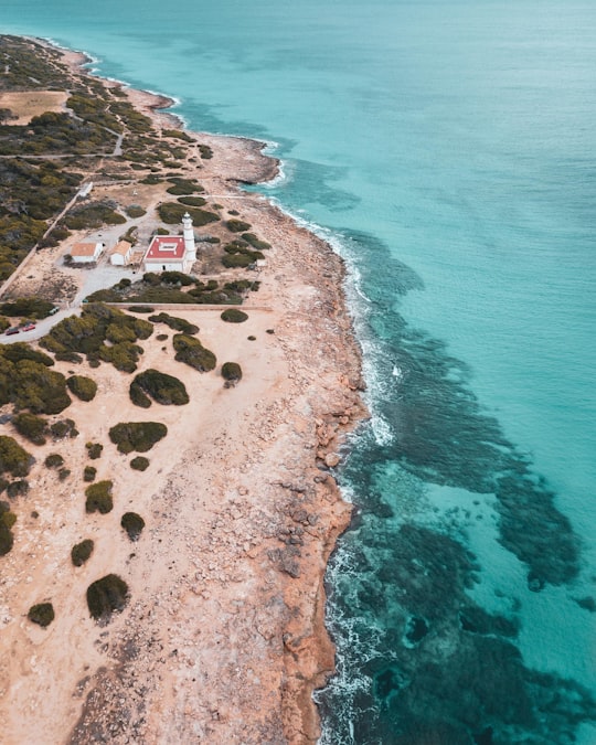 Far de Cap Salines things to do in Majorca