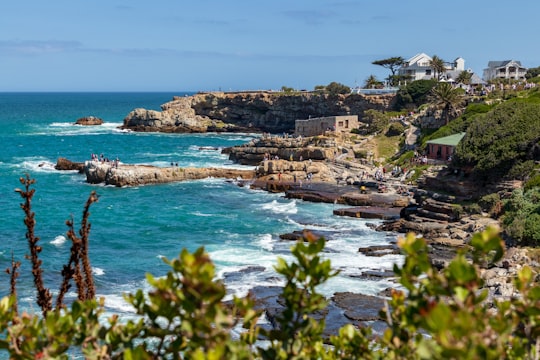 Hermanus things to do in Pearly Beach