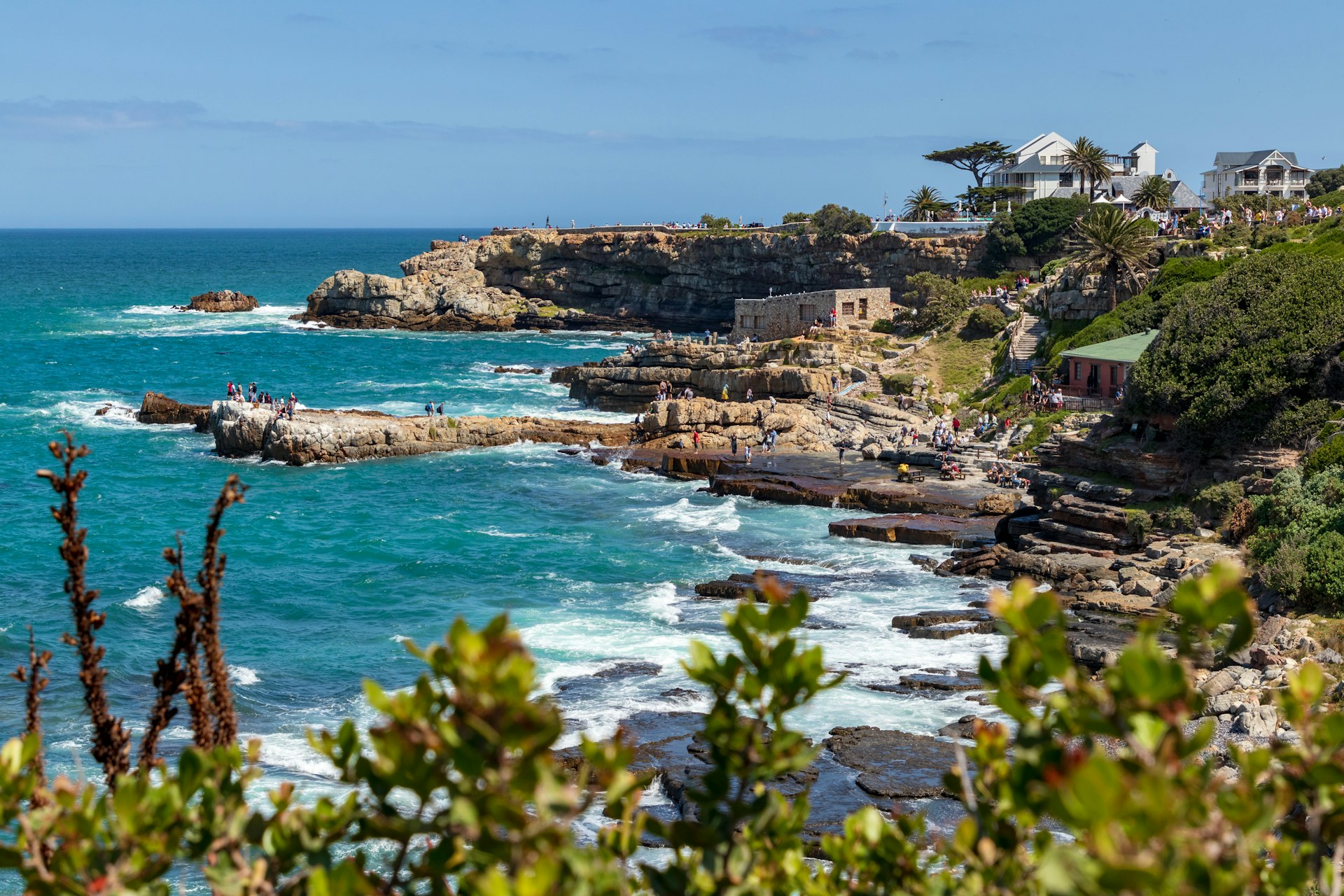 Cape Town, Wine & Whales