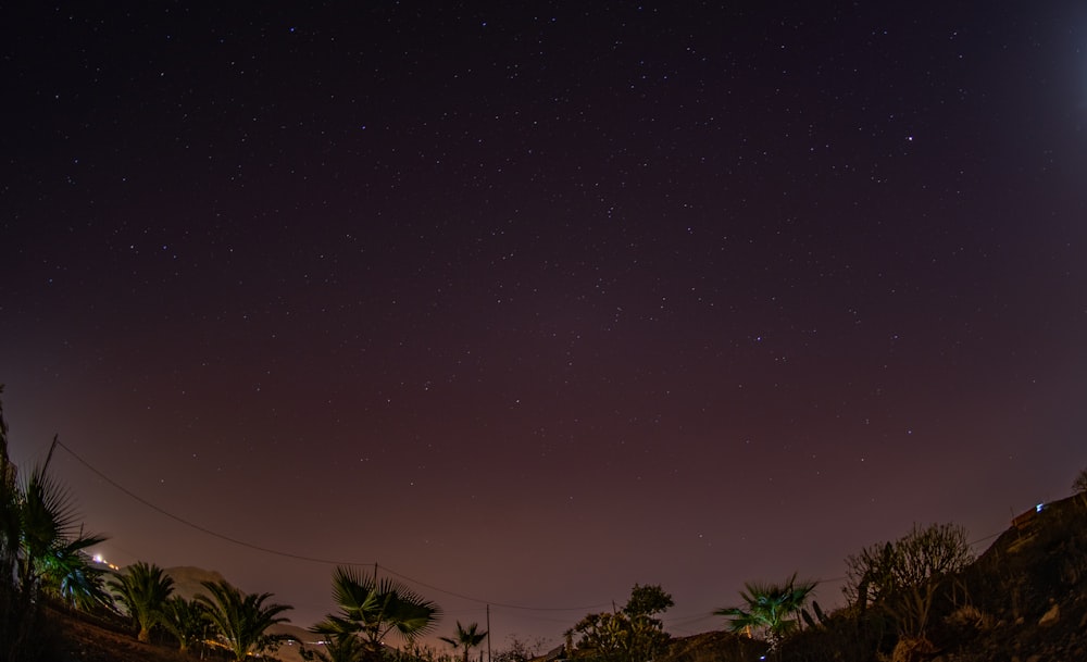 landscape photography of starry skies