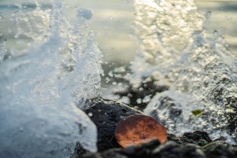 Specchio d'acqua