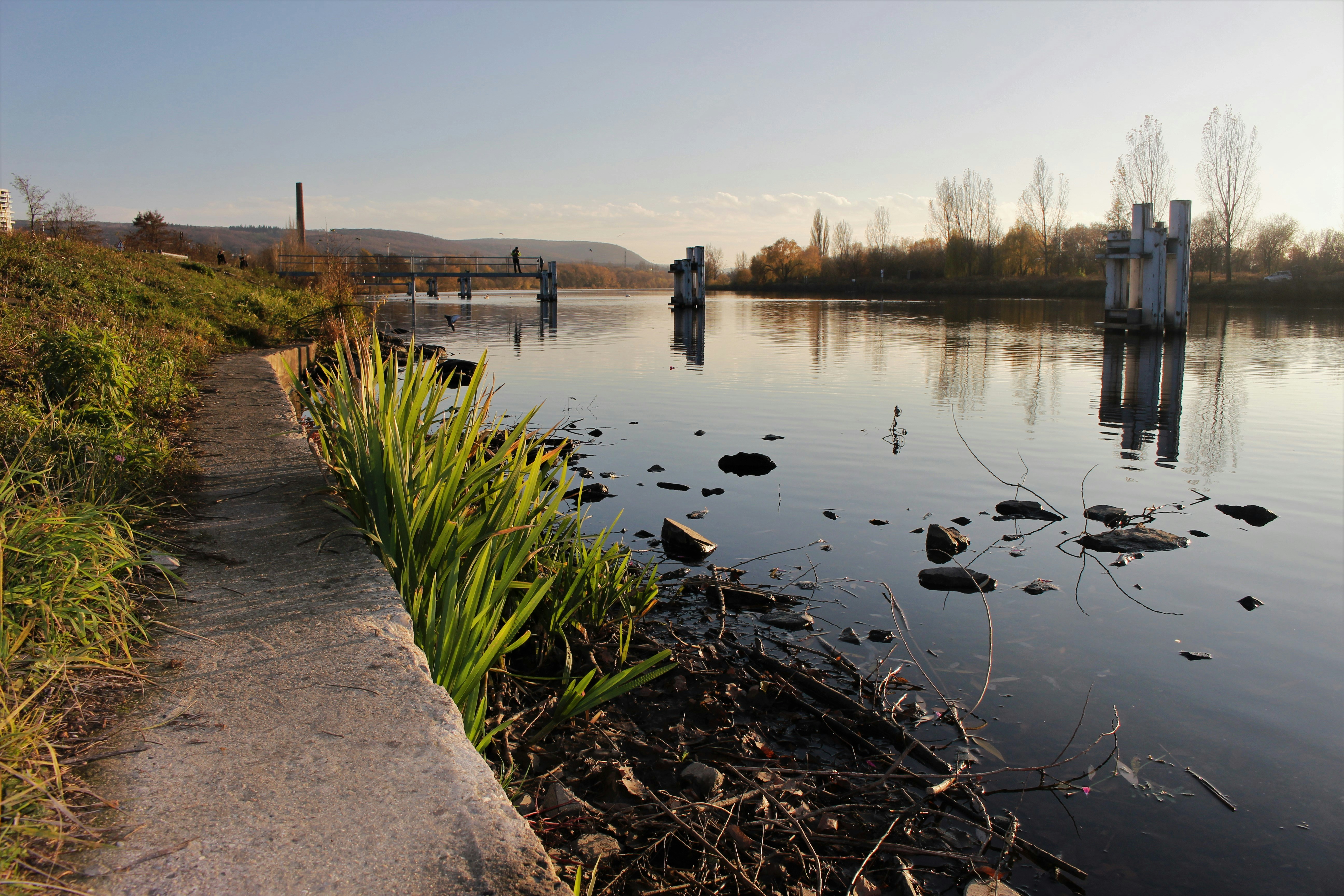 Calm journaling environment showing guided prompts, warm light background, and a person reflecting peacefully