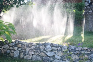 Water sprinklers creating a misty effect over a garden, with sunlight streaming through the water droplets. A stone wall is in the foreground, and lush green vegetation surrounds the scene.