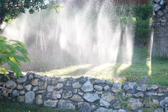 Water sprinklers creating a misty effect over a garden, with sunlight streaming through the water droplets. A stone wall is in the foreground, and lush green vegetation surrounds the scene.