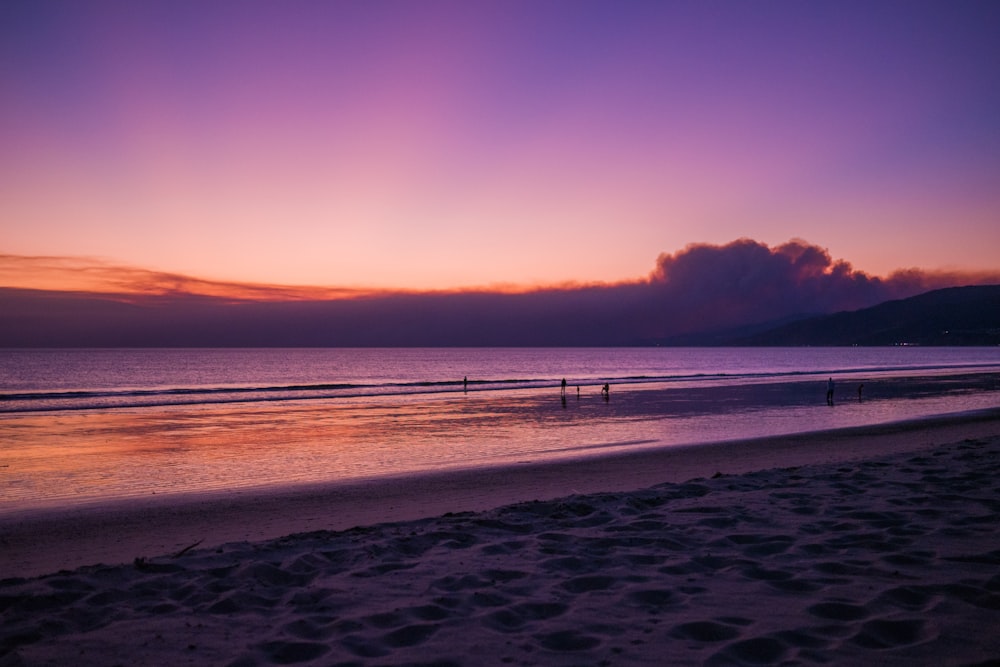 photographie de paysage de personnes nageant sur la plage pendant l’heure dorée