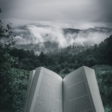 person holding open book viewing mountain view