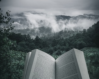 person holding open book viewing mountain view