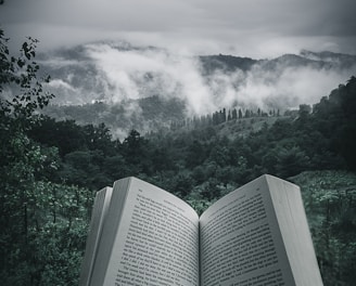 person holding open book viewing mountain view