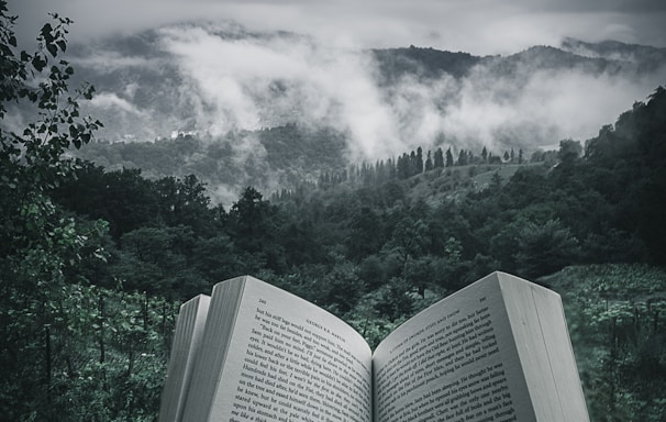 person holding open book viewing mountain view