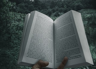 person holding open book viewing mountain view