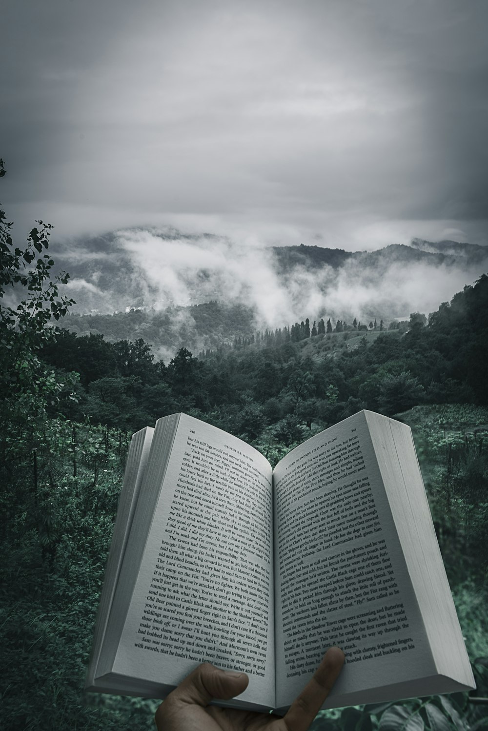 person holding open book viewing mountain view