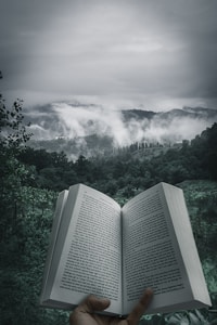 Book Cover 2