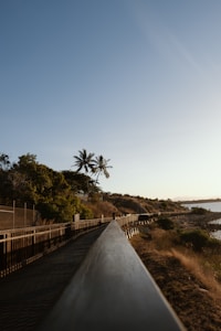 A wooden boardwalk extends into the distance, bordered by a fence, with lush vegetation and palm trees on the left side. The horizon to the right features a calm sea under a clear blue sky, with warm light suggesting it is either sunrise or sunset.