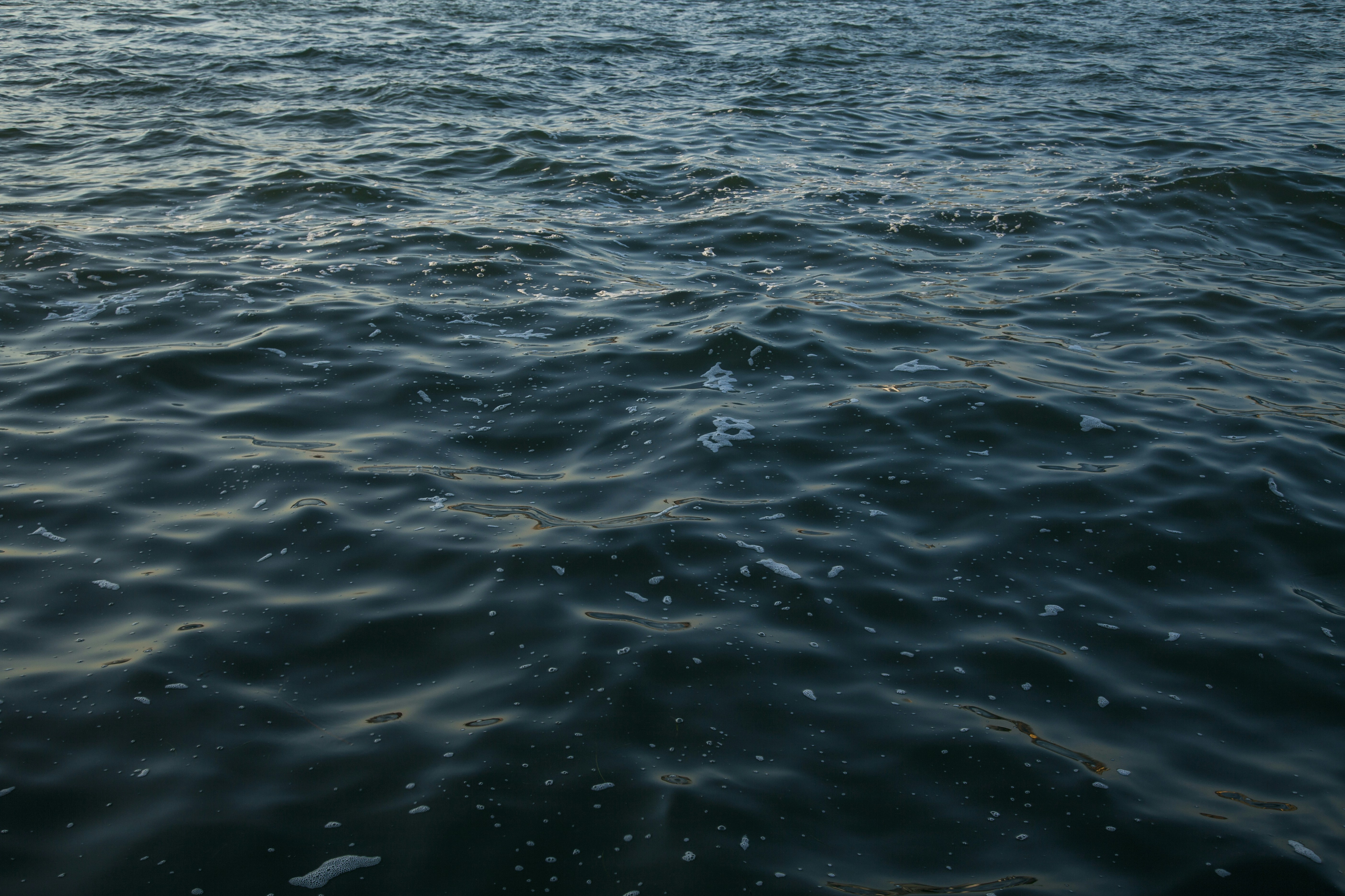 Photo by marcosaavedra